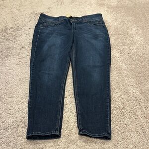 Democracy Dark Blue skinny Jeans